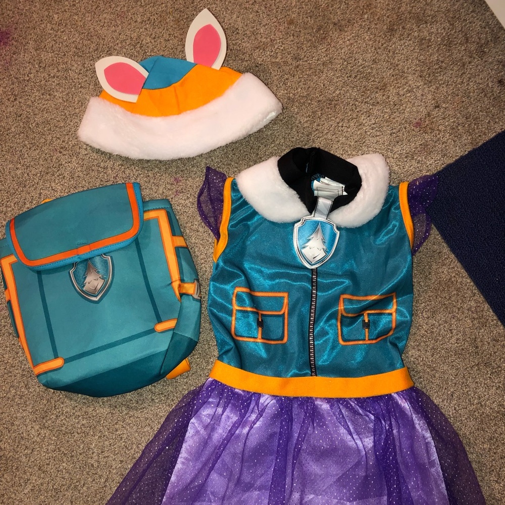 Paw patrol Everest costume 3T-4T